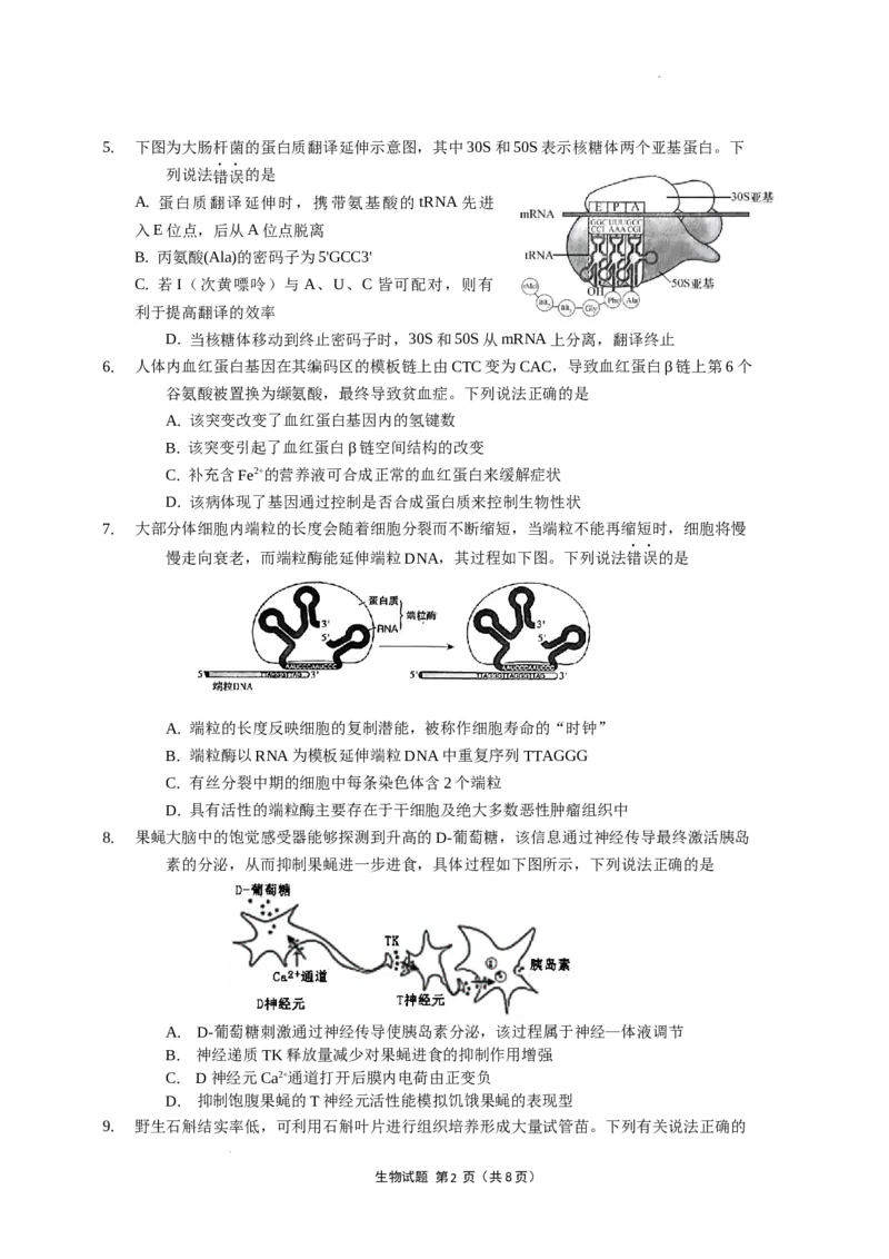 11月六校联考选题（终稿）(1)_2023年11月_0211月合集_2024届江苏省南京市六校高三上学期期中联合调研考试_江苏省南京市六校2024届高三上学期期中联合调研考试生物