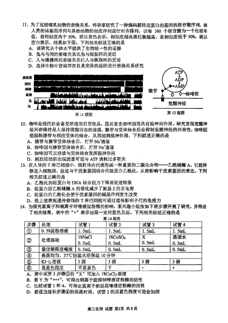 浙江卷浙江省2023学年第二学期浙江精诚联盟适应性联考)(5.15-5.17)生物试卷_2024年5月_01按日期_21号_2024届浙江省第二学期浙江精诚联盟适应性联考