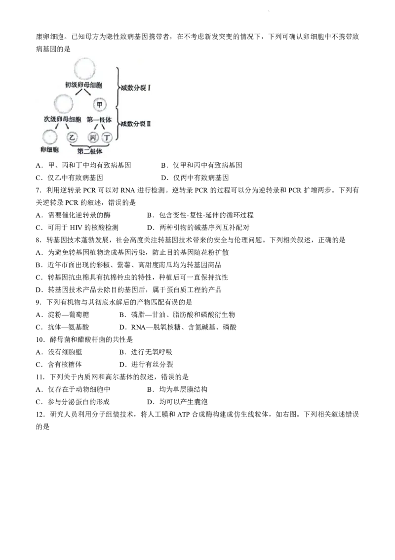 北京市海淀区2023-2024学年高二下学期7月期末生物试卷+答案_2024-2025高二（7-7月题库）_2024年07月试卷_0721北京市海淀区2023-2024学年高二下学期7月期末