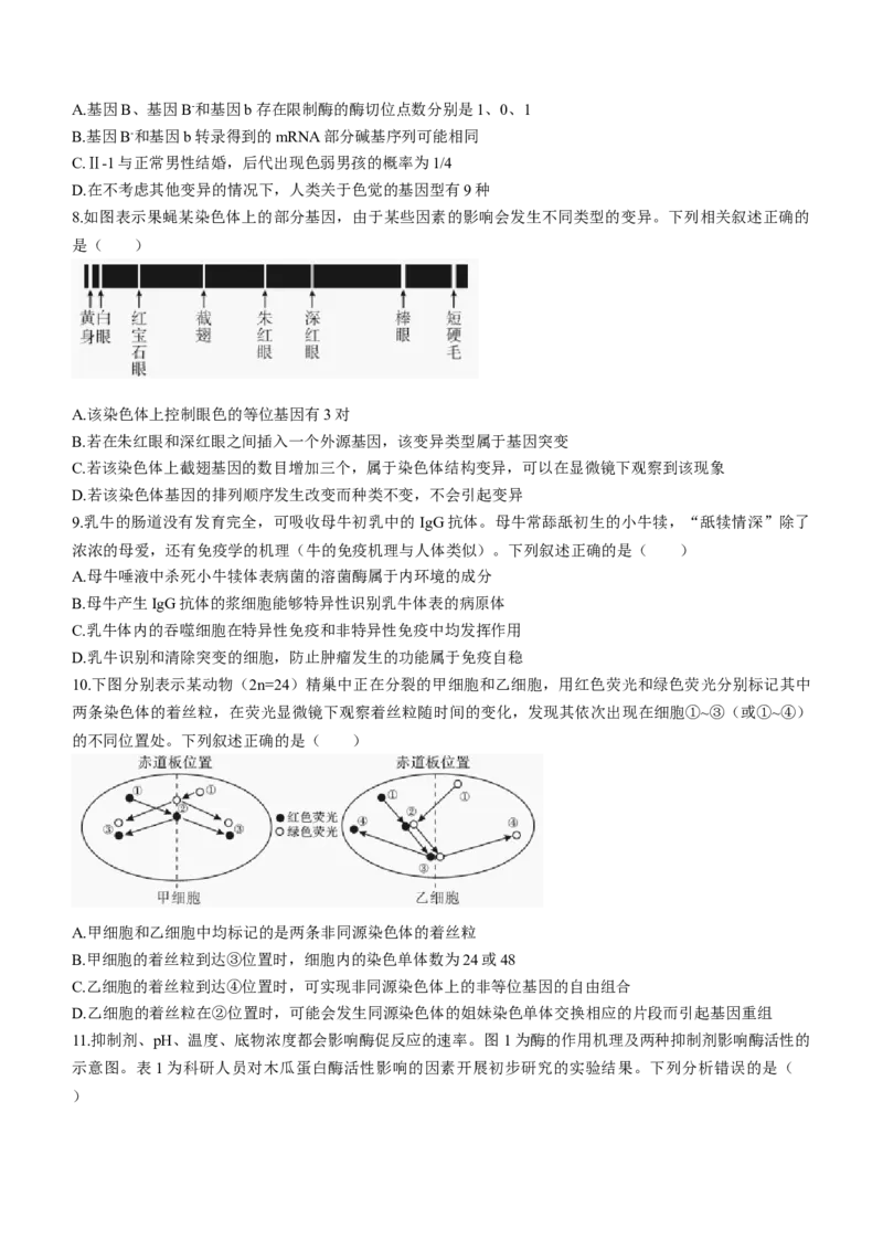 湖南省邵阳市2024届高三下学期二模生物试题Word版含答案(1)_2024年3月_013月合集_2024届湖南省邵阳市高三下学期二模