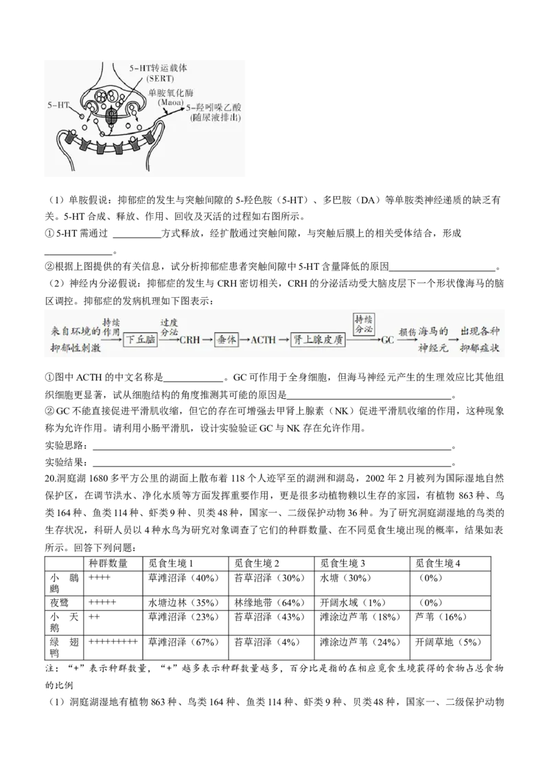 湖南省邵阳市2024届高三下学期二模生物试题Word版含答案(1)_2024年3月_013月合集_2024届湖南省邵阳市高三下学期二模