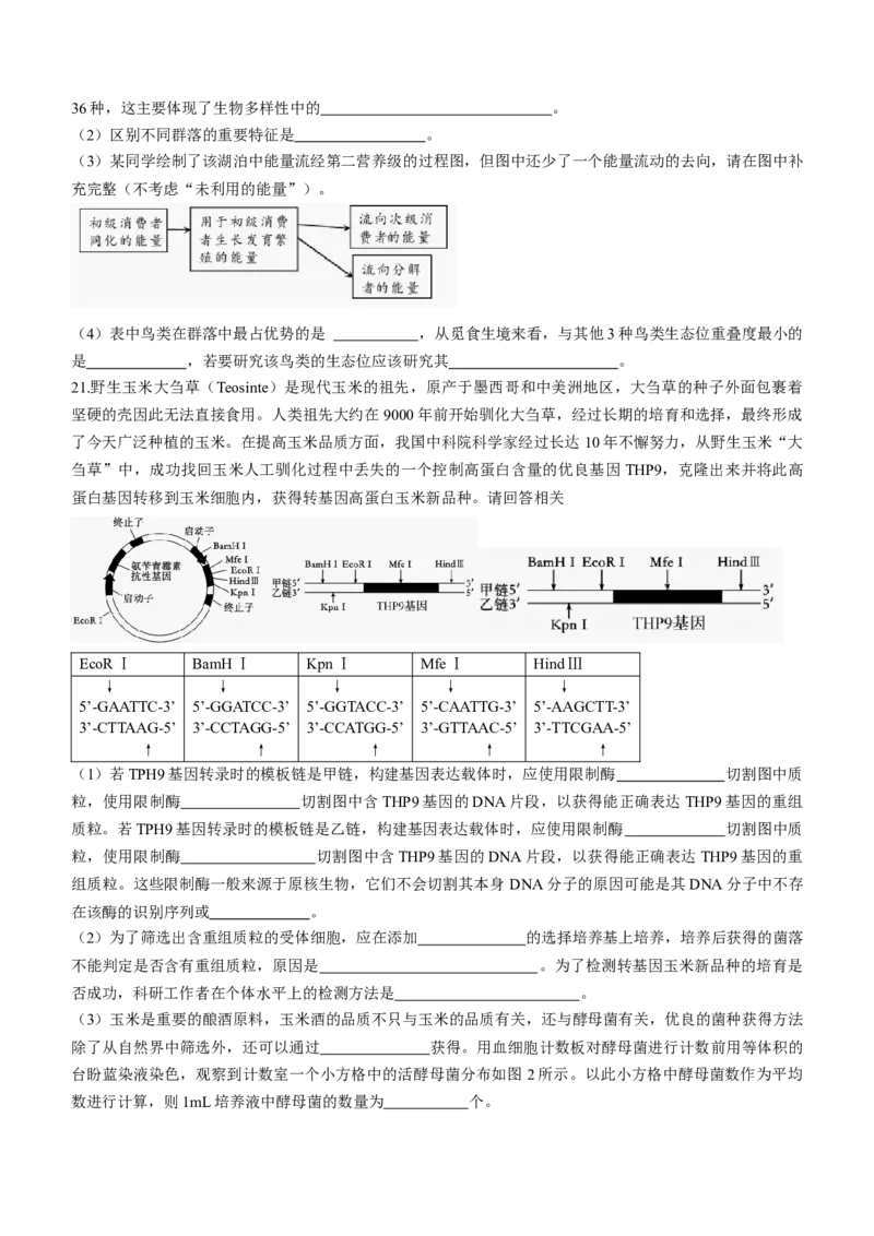 湖南省邵阳市2024届高三下学期二模生物试题Word版含答案(1)_2024年3月_013月合集_2024届湖南省邵阳市高三下学期二模