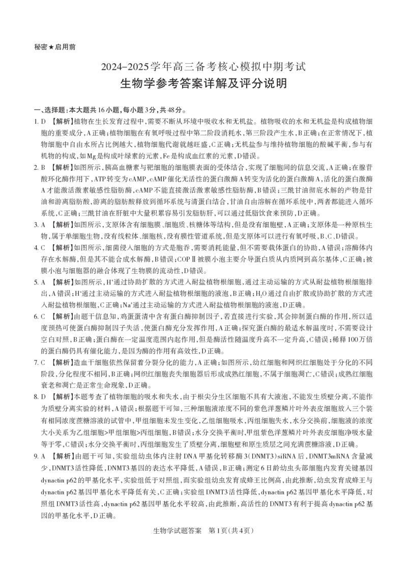 2024-2025学年高三备考核心模拟中期考试答案与详解生物学_Print_2024-2025高三（6-6月题库）_2024年11月试卷_1122山西思而行2024-2025学年高三备考核心模拟中期考试（全科）