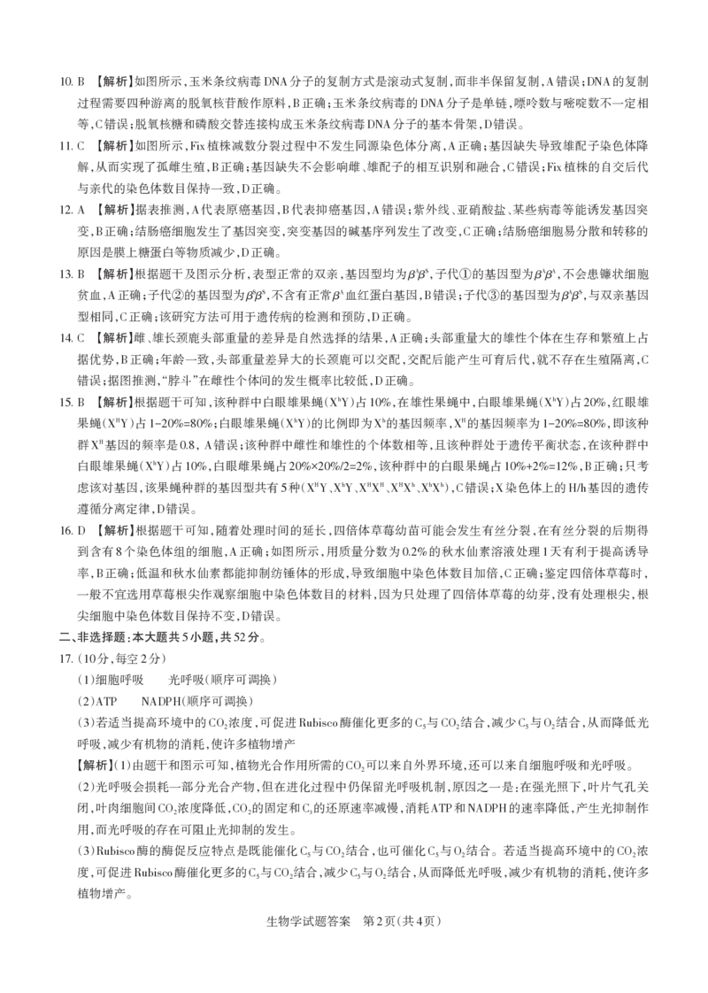 2024-2025学年高三备考核心模拟中期考试答案与详解生物学_Print_2024-2025高三（6-6月题库）_2024年11月试卷_1122山西思而行2024-2025学年高三备考核心模拟中期考试（全科）