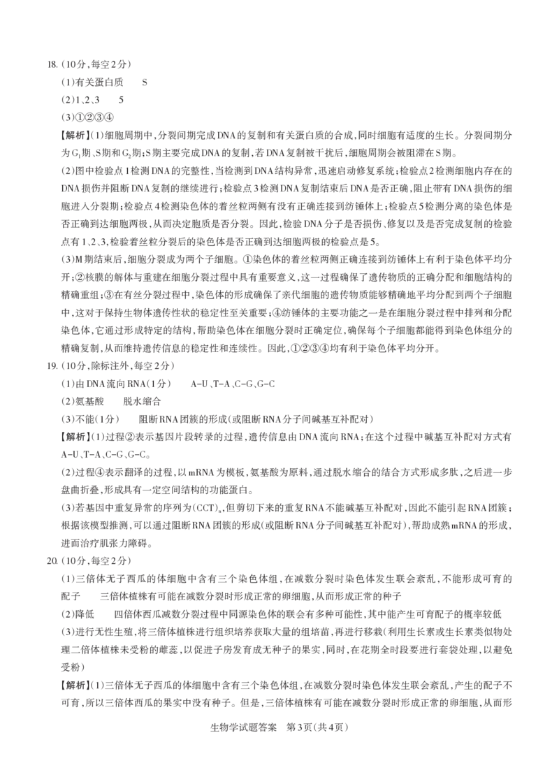 2024-2025学年高三备考核心模拟中期考试答案与详解生物学_Print_2024-2025高三（6-6月题库）_2024年11月试卷_1122山西思而行2024-2025学年高三备考核心模拟中期考试（全科）