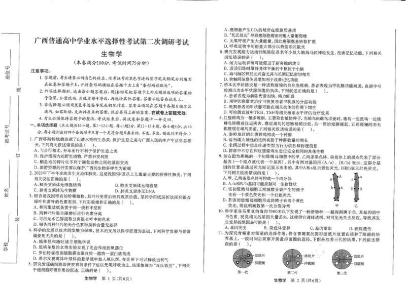 2025届广西高三学业水平选择性考试第二次调研考试生物试题_2024-2025高三（6-6月题库）_2024年12月试卷_12282025届广西高三学业水平选择性考试第二次调研考试