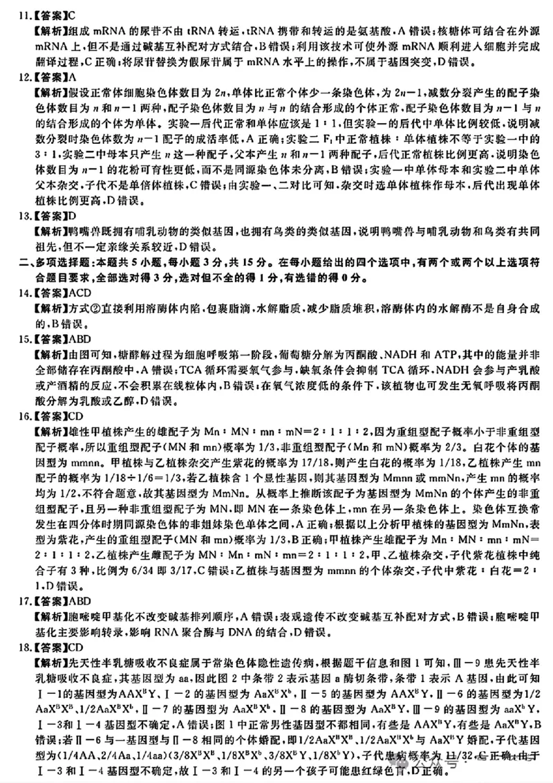 2025届高三金科新未来10月联考生物答案_2024-2025高三（6-6月题库）_2024年10月试卷_1013河南省2025届高三金科新未来10月联考