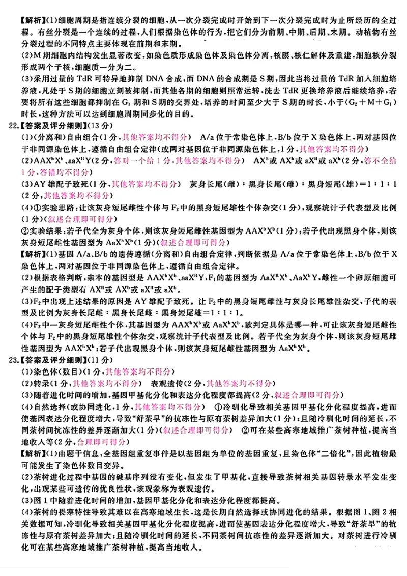2025届高三金科新未来10月联考生物答案_2024-2025高三（6-6月题库）_2024年10月试卷_1013河南省2025届高三金科新未来10月联考