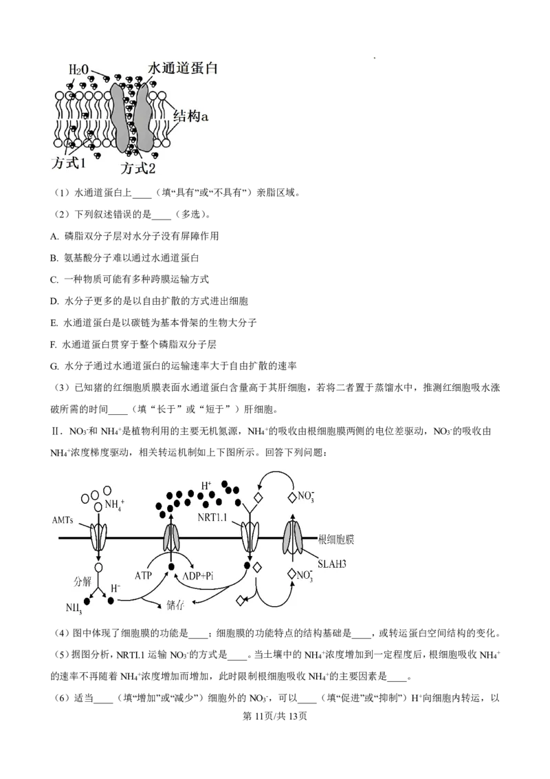 2025届河北省衡水中学高三10月综合素质测评（二）-生物试题+答案_2024-2025高三（6-6月题库）_2024年10月试卷_10142025届河北省衡水中学高三10月综合素质测评（二）
