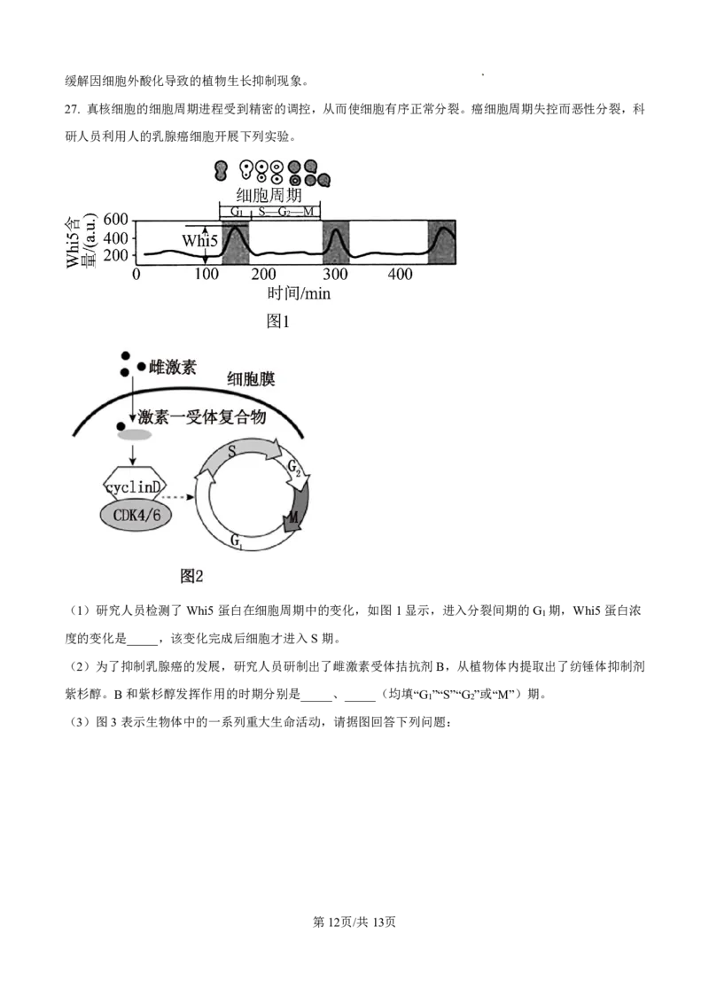 2025届河北省衡水中学高三10月综合素质测评（二）-生物试题+答案_2024-2025高三（6-6月题库）_2024年10月试卷_10142025届河北省衡水中学高三10月综合素质测评（二）