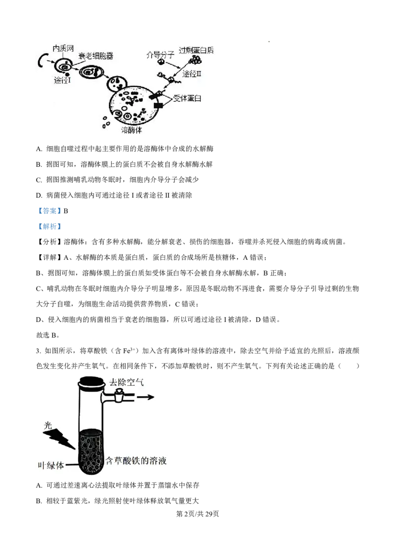 2025届河北省衡水中学高三10月综合素质测评（二）-生物试题+答案_2024-2025高三（6-6月题库）_2024年10月试卷_10142025届河北省衡水中学高三10月综合素质测评（二）