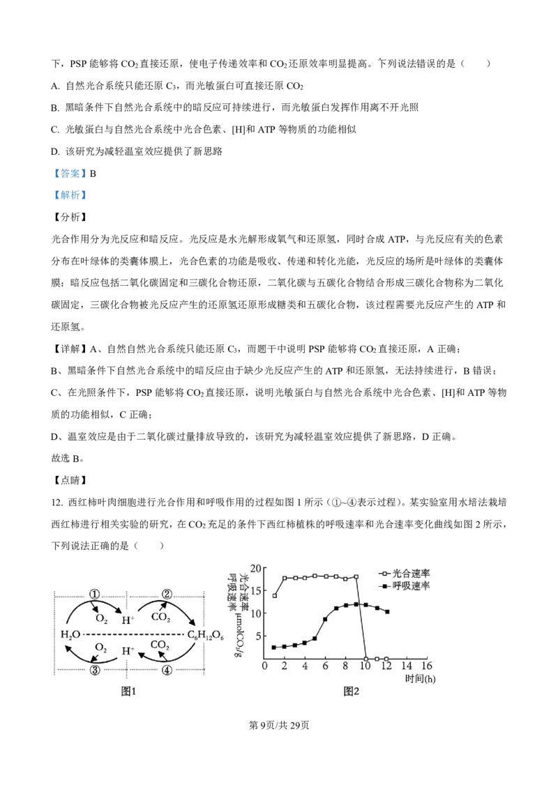 2025届河北省衡水中学高三10月综合素质测评（二）-生物试题+答案_2024-2025高三（6-6月题库）_2024年10月试卷_10142025届河北省衡水中学高三10月综合素质测评（二）