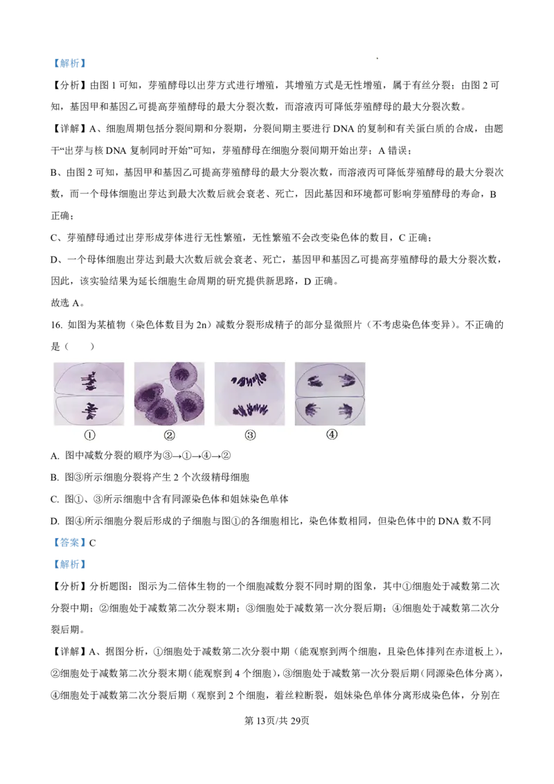 2025届河北省衡水中学高三10月综合素质测评（二）-生物试题+答案_2024-2025高三（6-6月题库）_2024年10月试卷_10142025届河北省衡水中学高三10月综合素质测评（二）