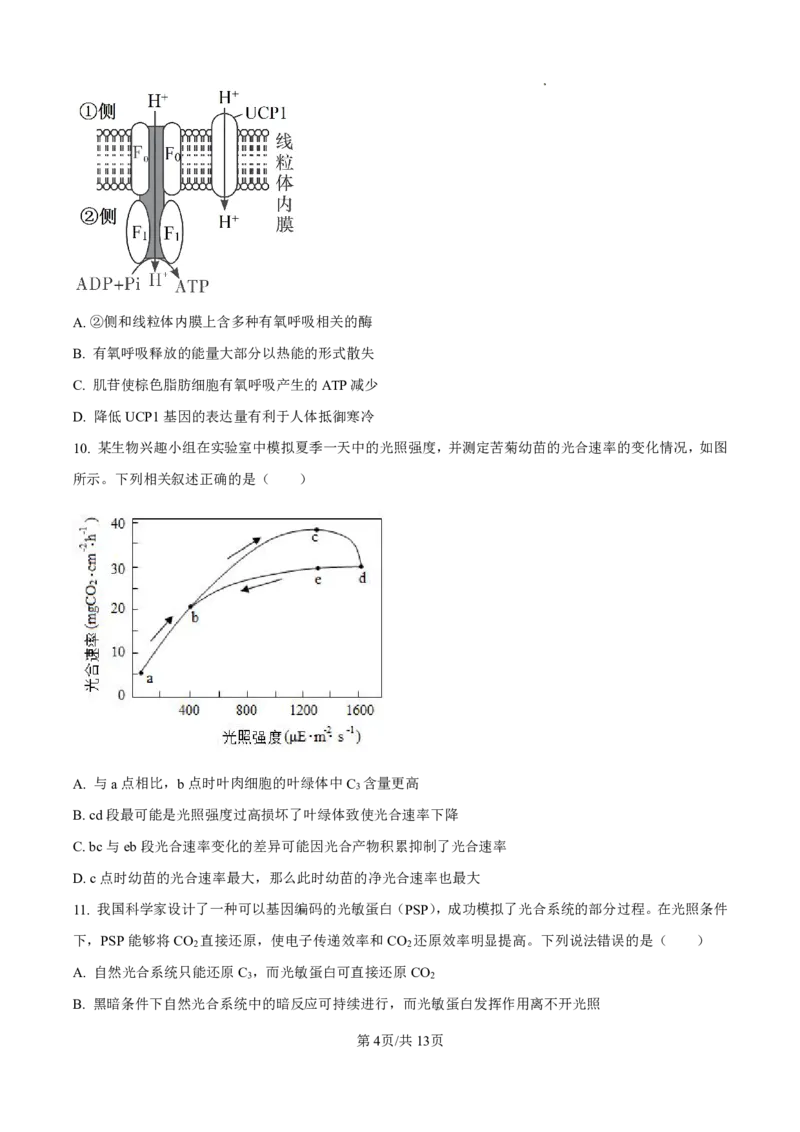 2025届河北省衡水中学高三10月综合素质测评（二）-生物试题+答案_2024-2025高三（6-6月题库）_2024年10月试卷_10142025届河北省衡水中学高三10月综合素质测评（二）