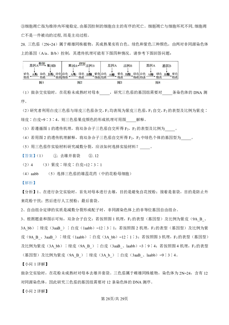 2025届河北省衡水中学高三10月综合素质测评（二）-生物试题+答案_2024-2025高三（6-6月题库）_2024年10月试卷_10142025届河北省衡水中学高三10月综合素质测评（二）