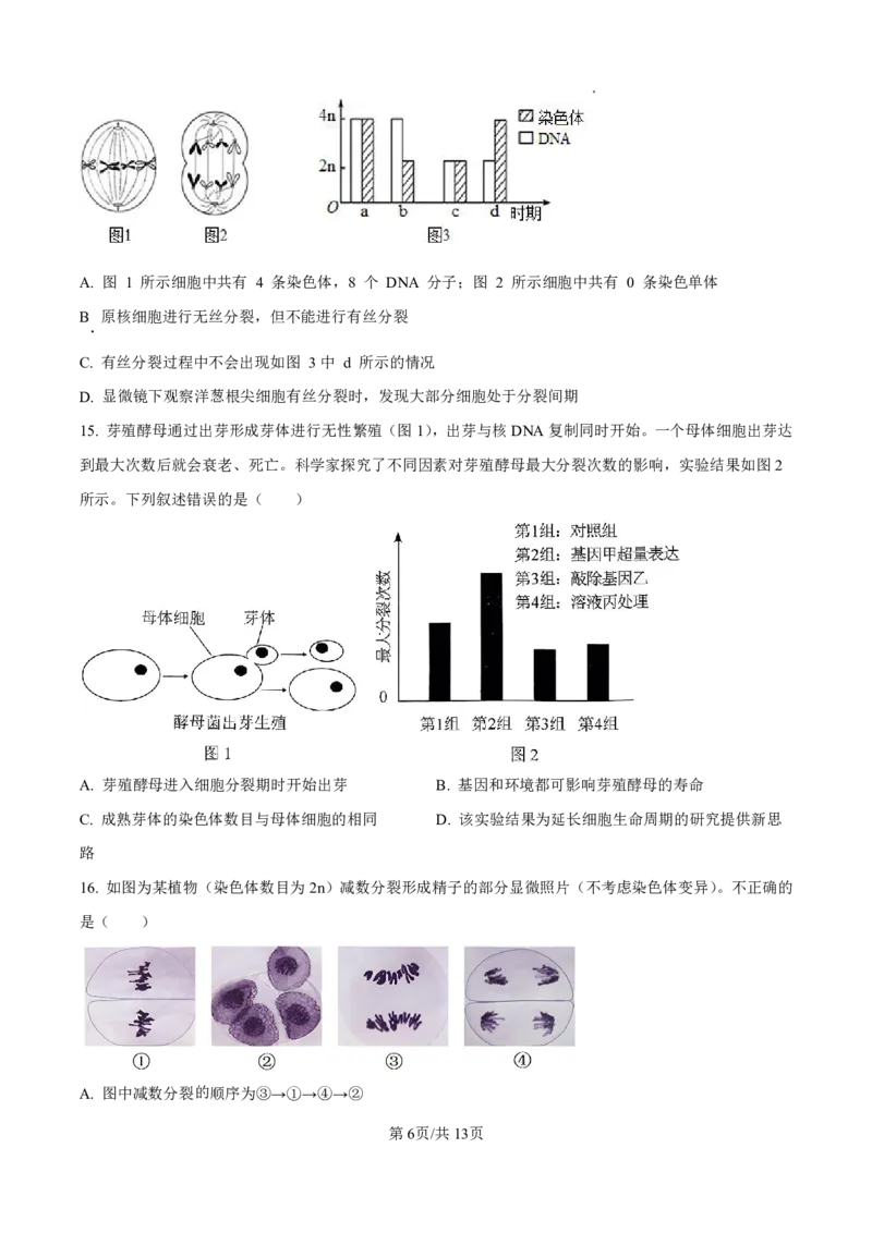 2025届河北省衡水中学高三10月综合素质测评（二）-生物试题+答案_2024-2025高三（6-6月题库）_2024年10月试卷_10142025届河北省衡水中学高三10月综合素质测评（二）