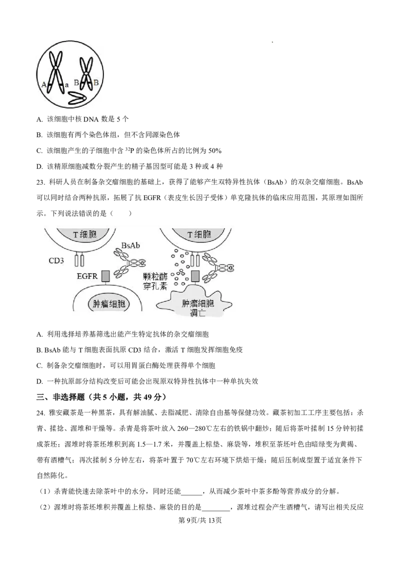 2025届河北省衡水中学高三10月综合素质测评（二）-生物试题+答案_2024-2025高三（6-6月题库）_2024年10月试卷_10142025届河北省衡水中学高三10月综合素质测评（二）