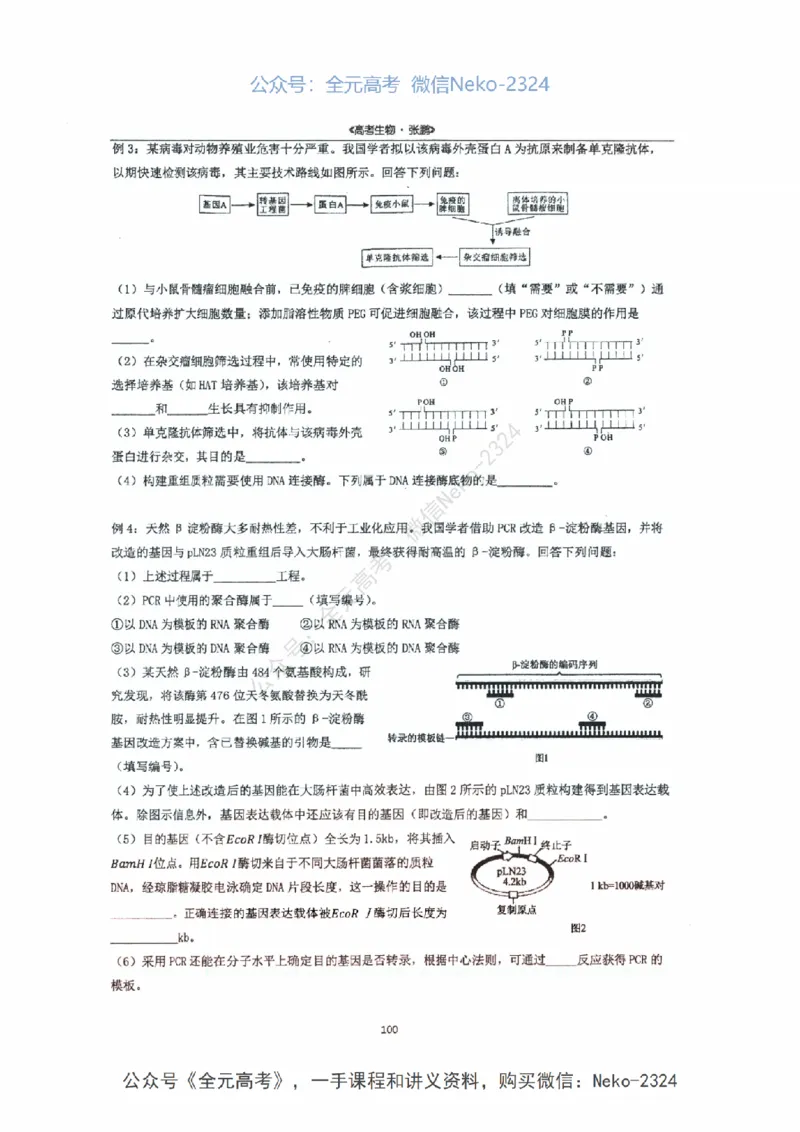 2024张鹏二轮复习讲义_2024-2025高三（6-6月题库）_2024年09月试卷_张鹏