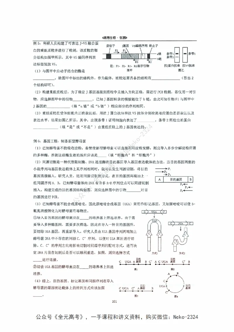 2024张鹏二轮复习讲义_2024-2025高三（6-6月题库）_2024年09月试卷_张鹏