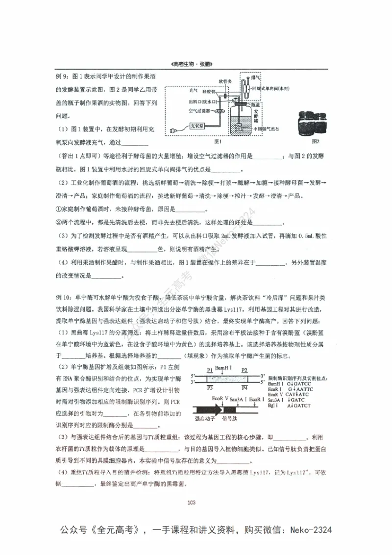 2024张鹏二轮复习讲义_2024-2025高三（6-6月题库）_2024年09月试卷_张鹏