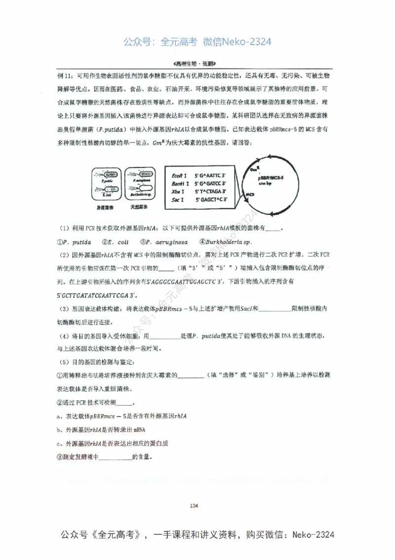 2024张鹏二轮复习讲义_2024-2025高三（6-6月题库）_2024年09月试卷_张鹏