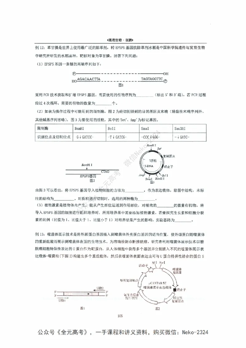 2024张鹏二轮复习讲义_2024-2025高三（6-6月题库）_2024年09月试卷_张鹏