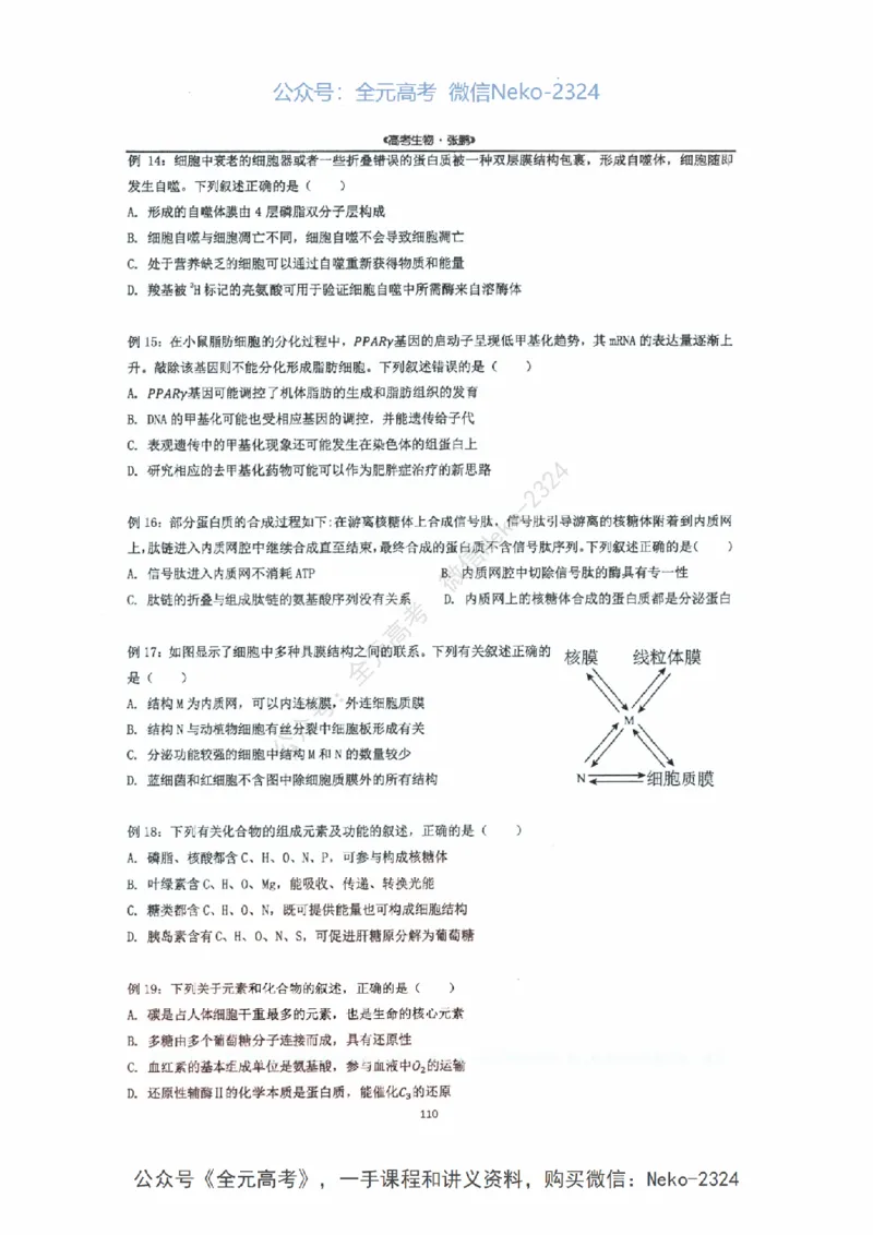 2024张鹏二轮复习讲义_2024-2025高三（6-6月题库）_2024年09月试卷_张鹏