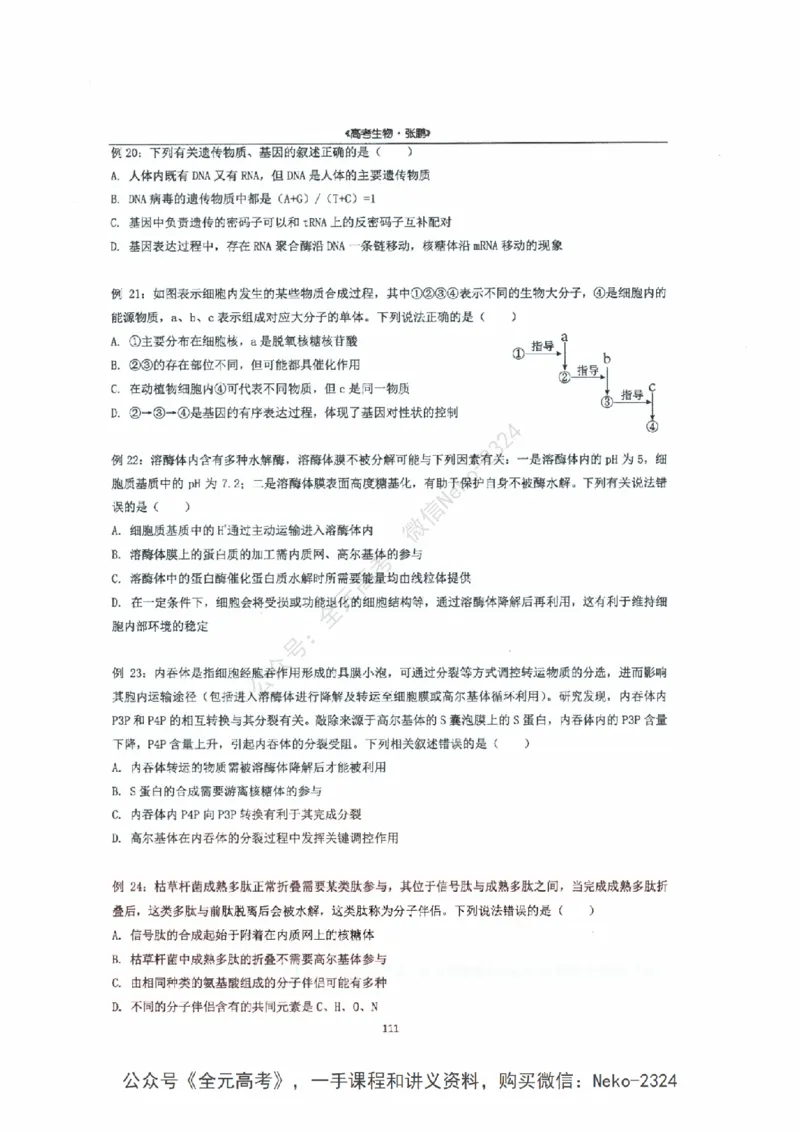 2024张鹏二轮复习讲义_2024-2025高三（6-6月题库）_2024年09月试卷_张鹏