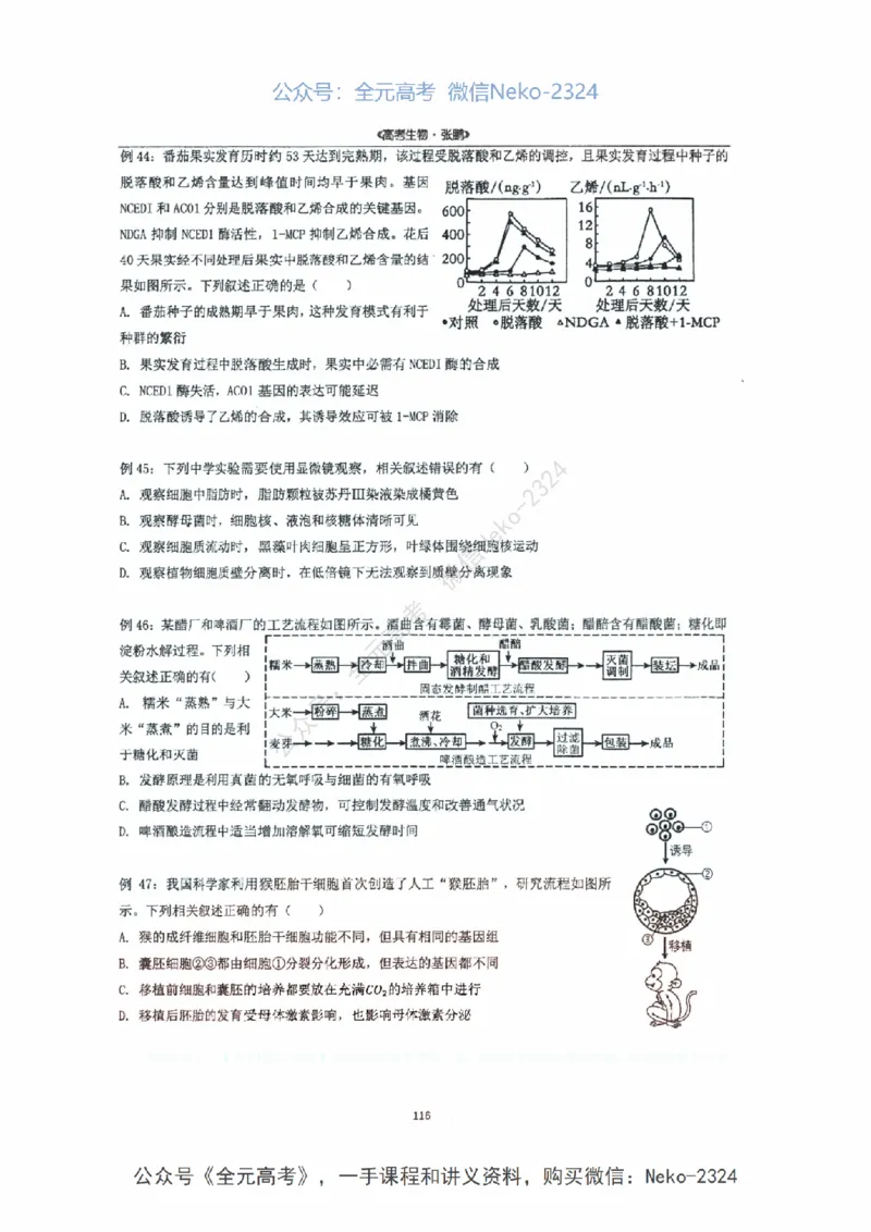 2024张鹏二轮复习讲义_2024-2025高三（6-6月题库）_2024年09月试卷_张鹏