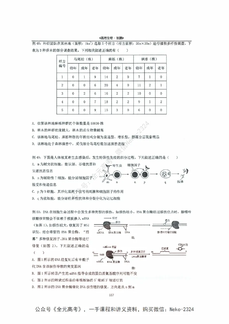 2024张鹏二轮复习讲义_2024-2025高三（6-6月题库）_2024年09月试卷_张鹏