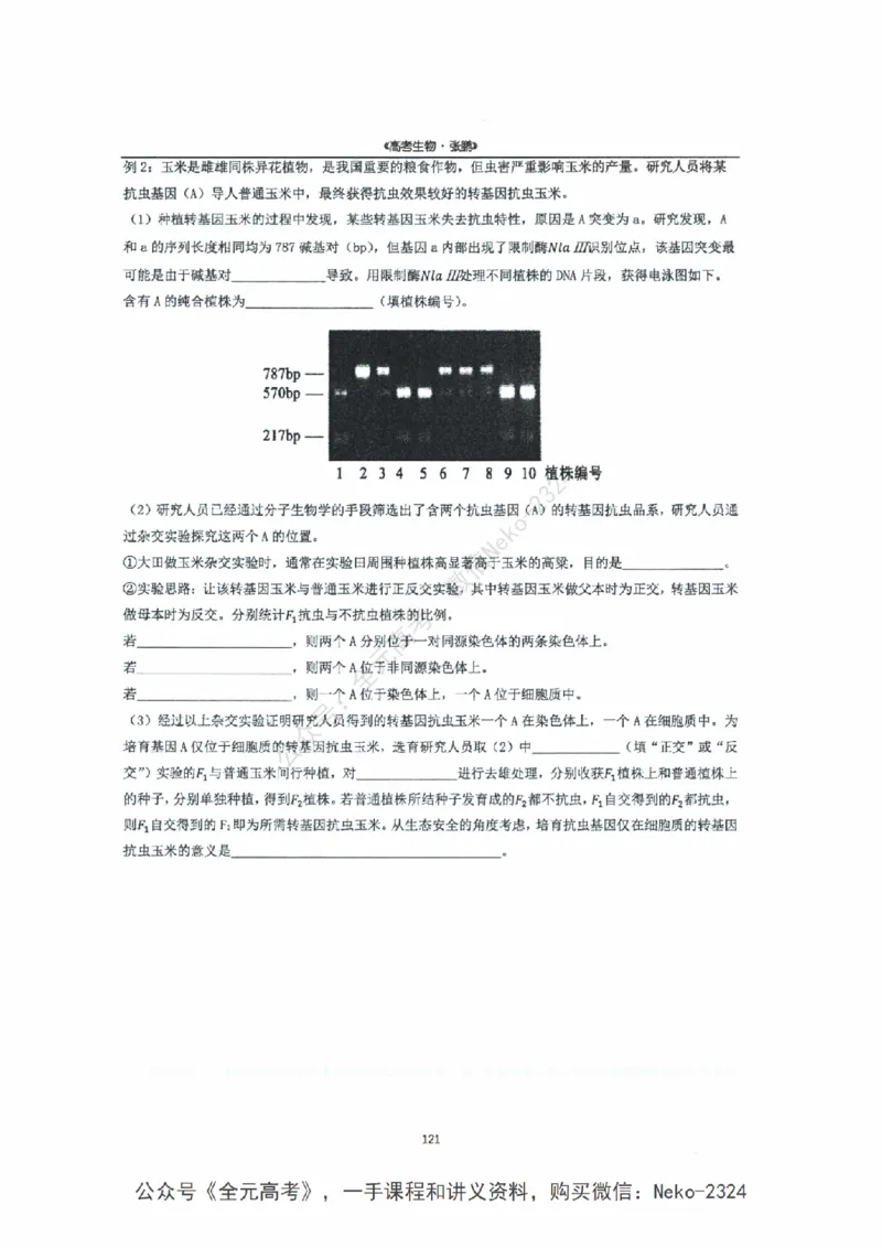 2024张鹏二轮复习讲义_2024-2025高三（6-6月题库）_2024年09月试卷_张鹏