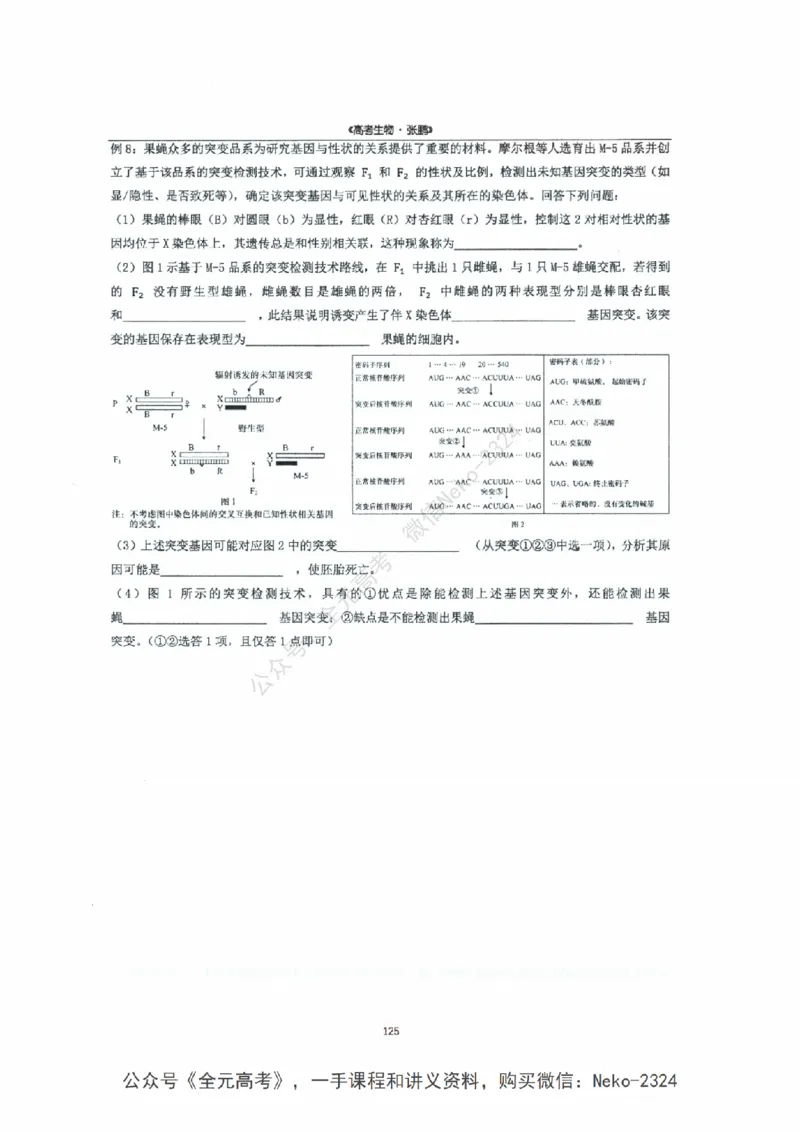 2024张鹏二轮复习讲义_2024-2025高三（6-6月题库）_2024年09月试卷_张鹏