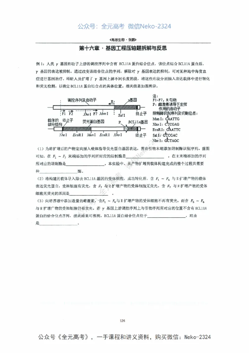 2024张鹏二轮复习讲义_2024-2025高三（6-6月题库）_2024年09月试卷_张鹏