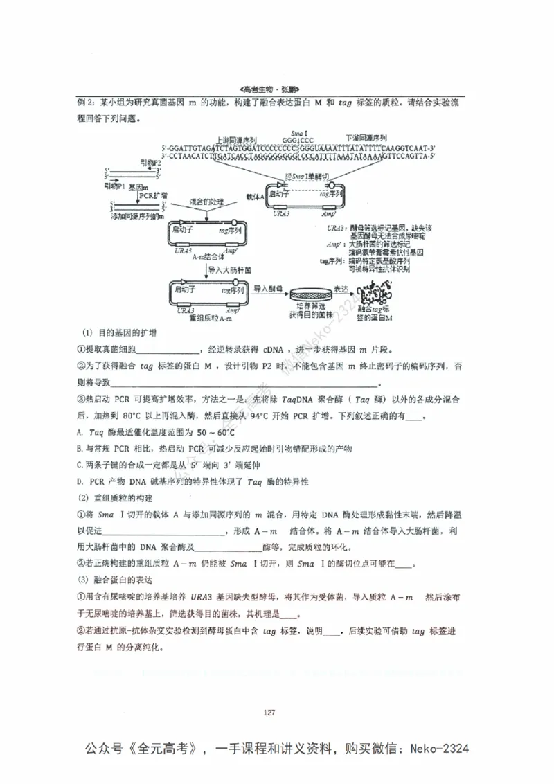 2024张鹏二轮复习讲义_2024-2025高三（6-6月题库）_2024年09月试卷_张鹏