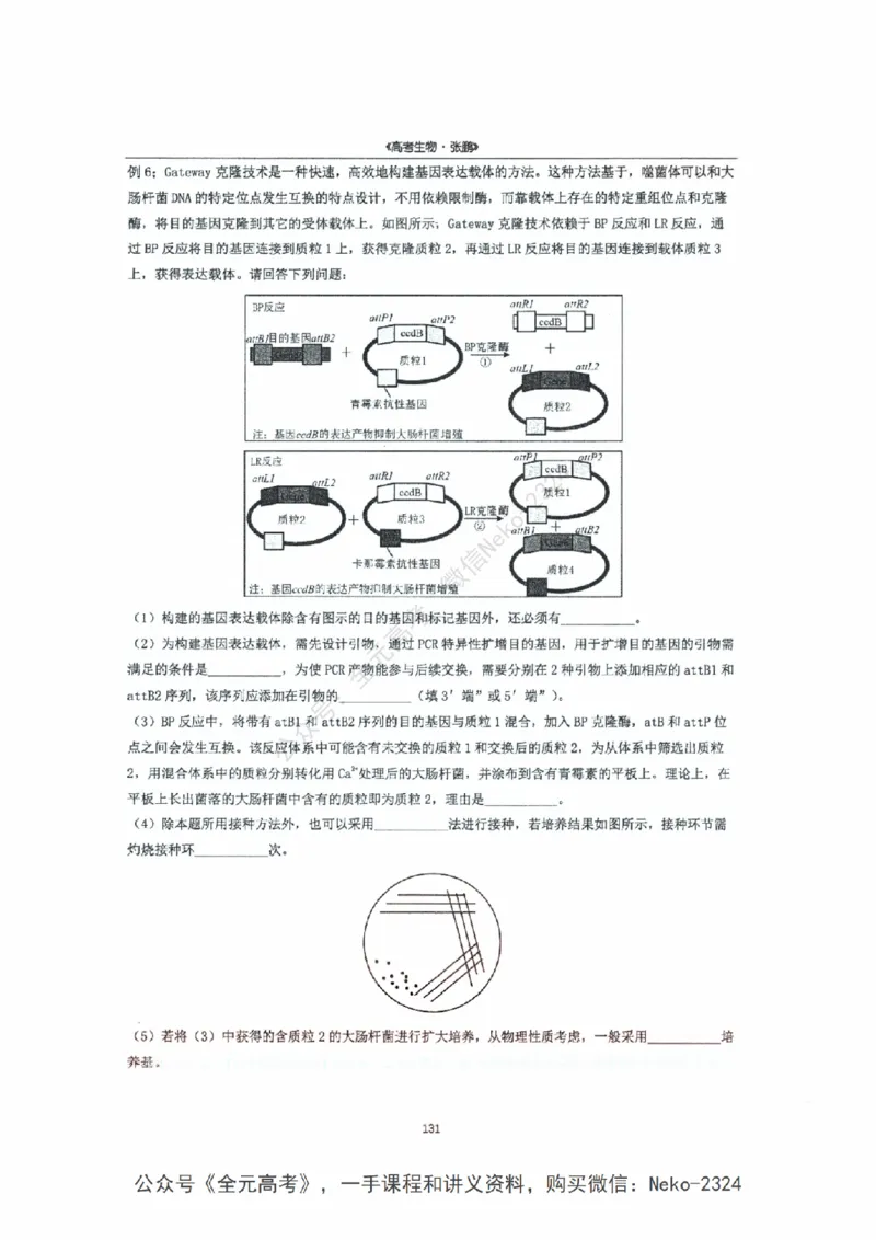 2024张鹏二轮复习讲义_2024-2025高三（6-6月题库）_2024年09月试卷_张鹏