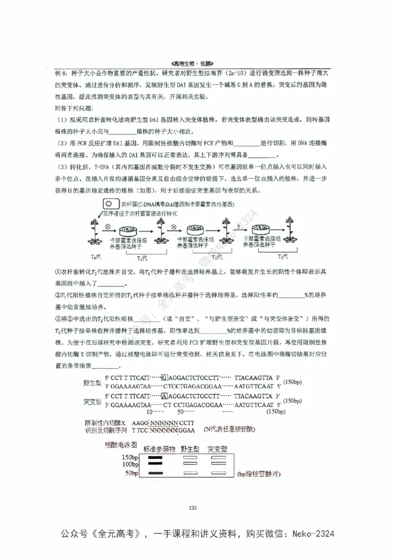 2024张鹏二轮复习讲义_2024-2025高三（6-6月题库）_2024年09月试卷_张鹏
