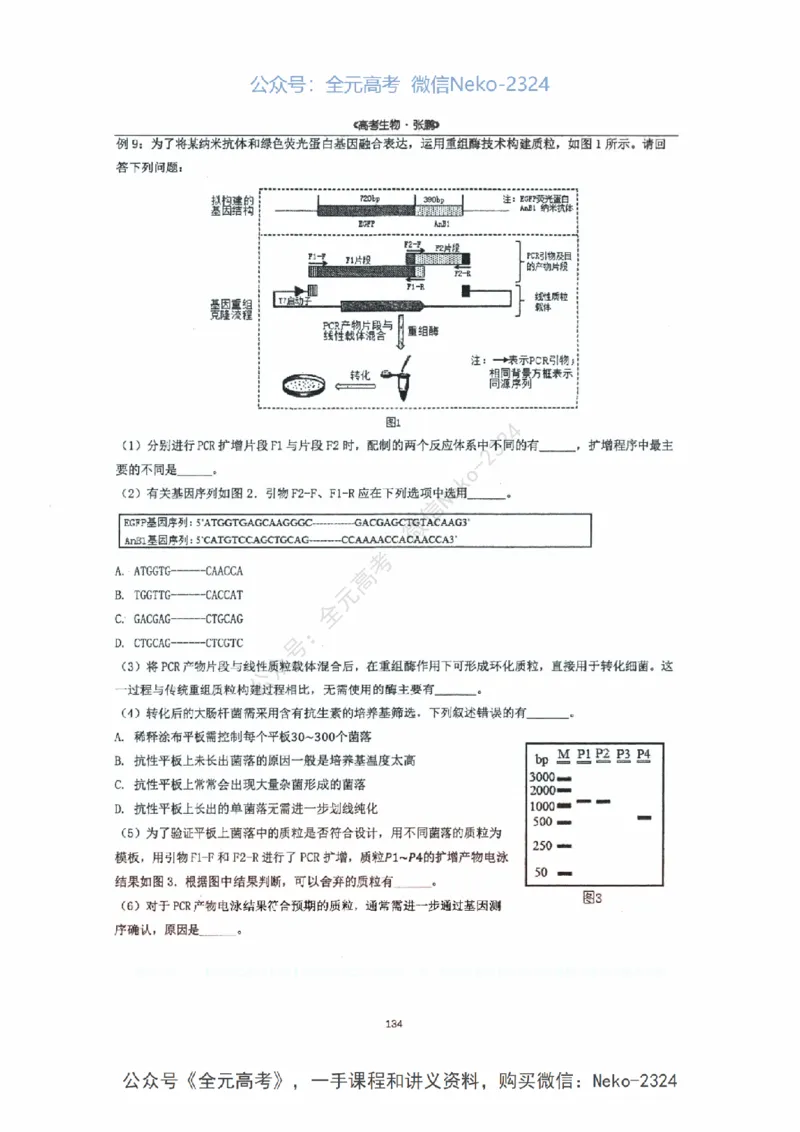 2024张鹏二轮复习讲义_2024-2025高三（6-6月题库）_2024年09月试卷_张鹏