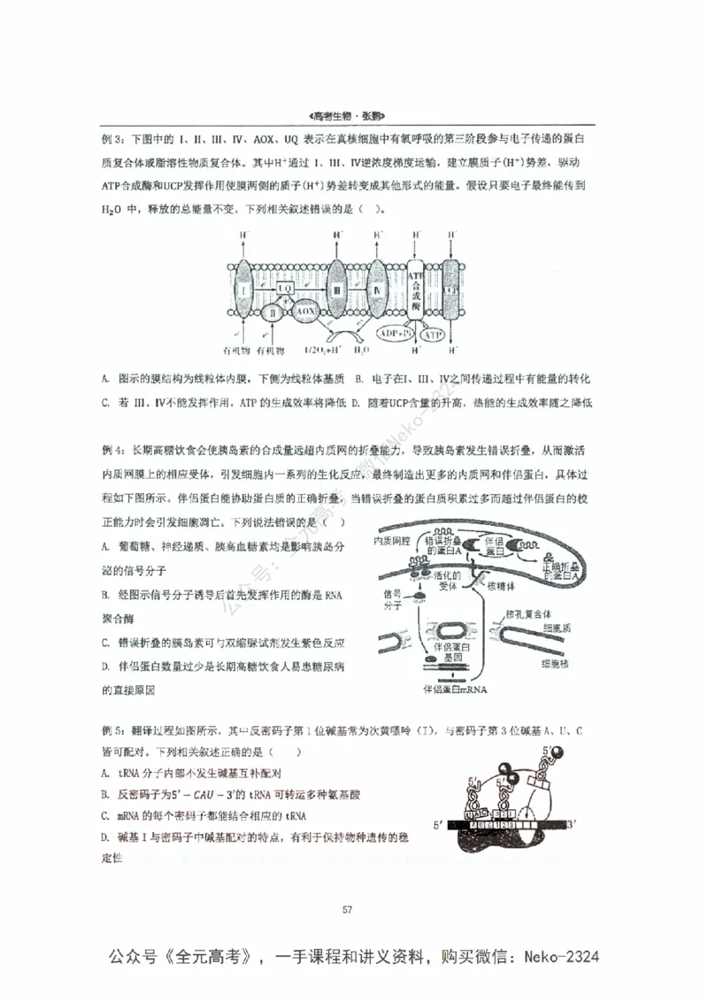 2024张鹏二轮复习讲义_2024-2025高三（6-6月题库）_2024年09月试卷_张鹏