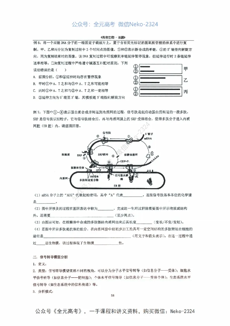 2024张鹏二轮复习讲义_2024-2025高三（6-6月题库）_2024年09月试卷_张鹏