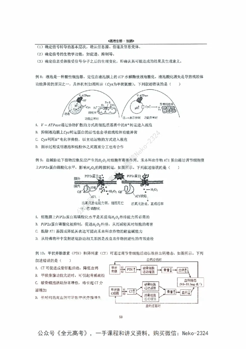 2024张鹏二轮复习讲义_2024-2025高三（6-6月题库）_2024年09月试卷_张鹏