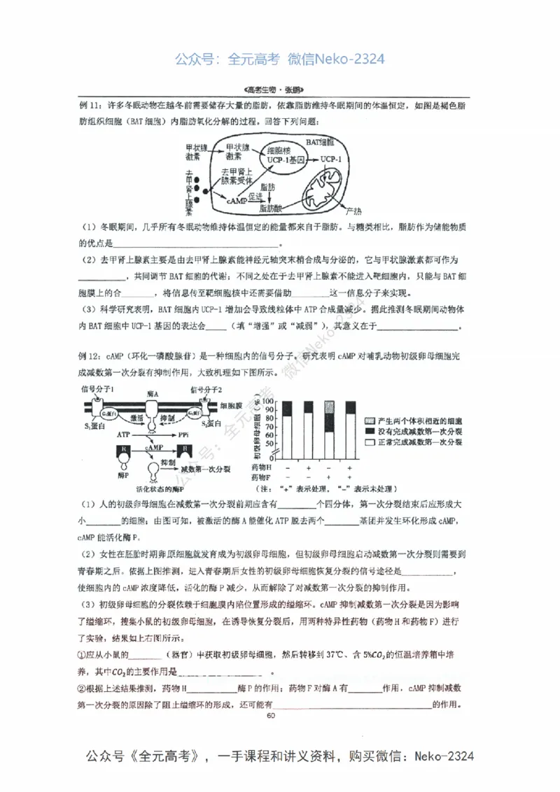 2024张鹏二轮复习讲义_2024-2025高三（6-6月题库）_2024年09月试卷_张鹏