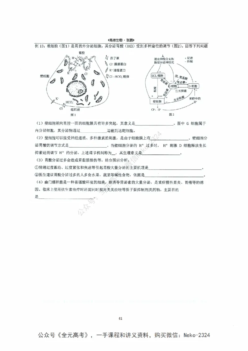 2024张鹏二轮复习讲义_2024-2025高三（6-6月题库）_2024年09月试卷_张鹏