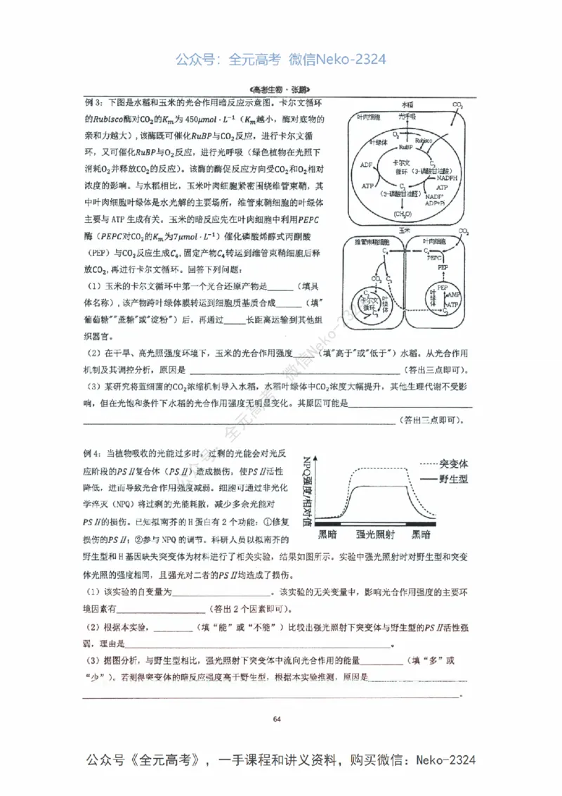 2024张鹏二轮复习讲义_2024-2025高三（6-6月题库）_2024年09月试卷_张鹏
