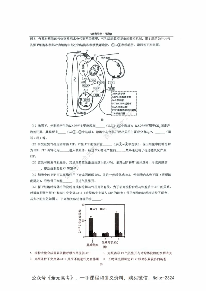 2024张鹏二轮复习讲义_2024-2025高三（6-6月题库）_2024年09月试卷_张鹏