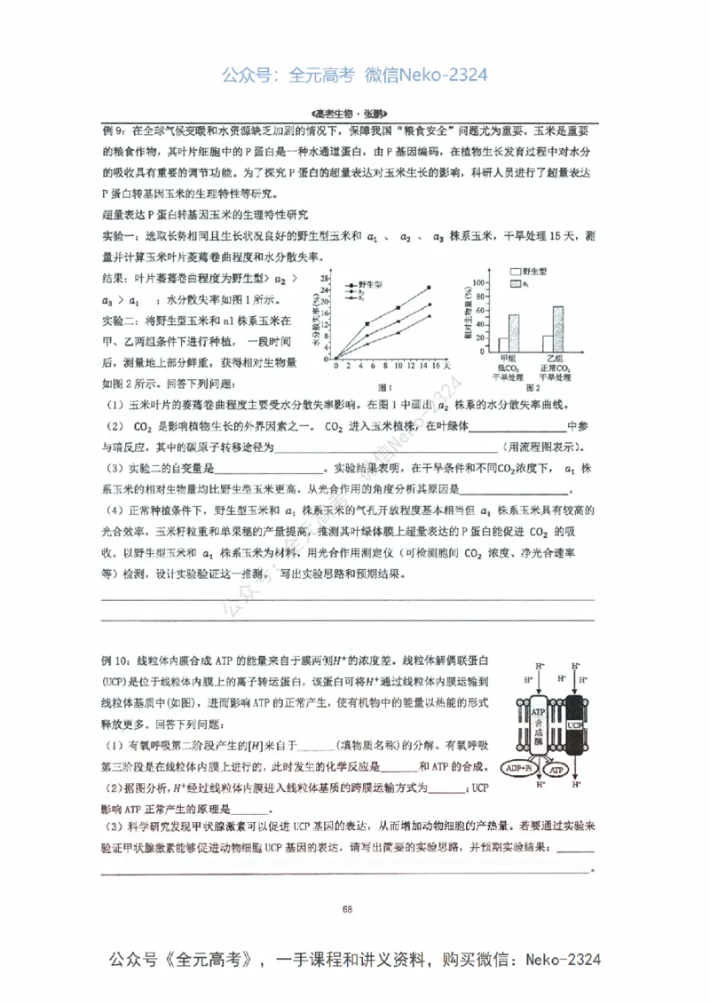2024张鹏二轮复习讲义_2024-2025高三（6-6月题库）_2024年09月试卷_张鹏