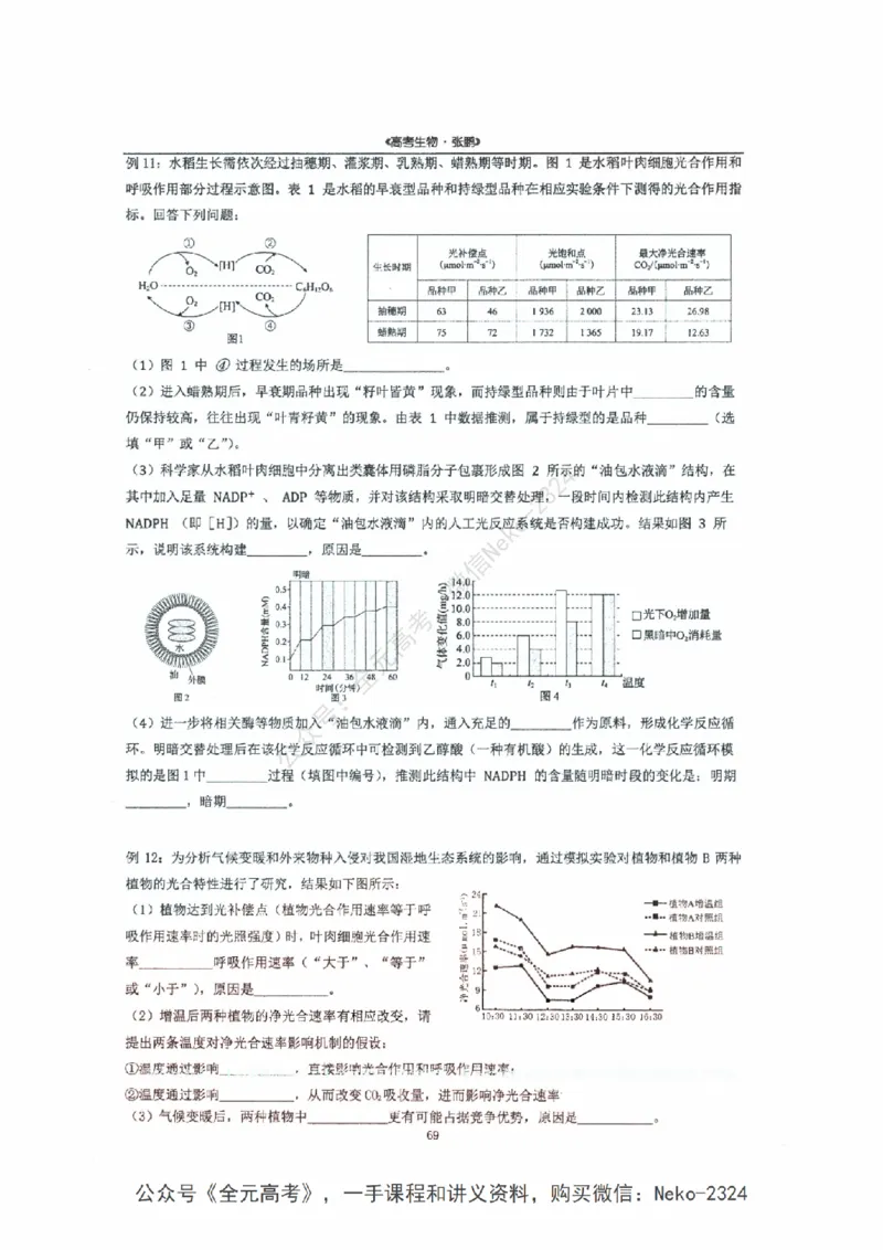 2024张鹏二轮复习讲义_2024-2025高三（6-6月题库）_2024年09月试卷_张鹏