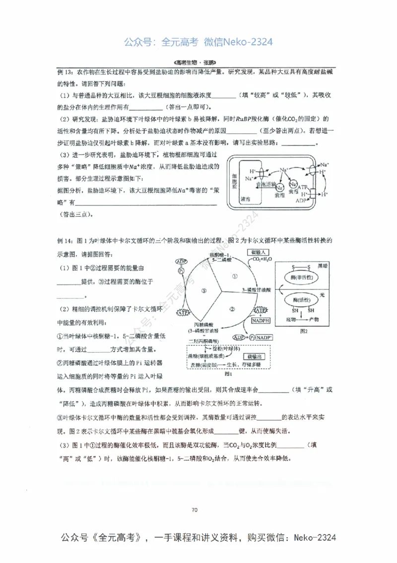 2024张鹏二轮复习讲义_2024-2025高三（6-6月题库）_2024年09月试卷_张鹏