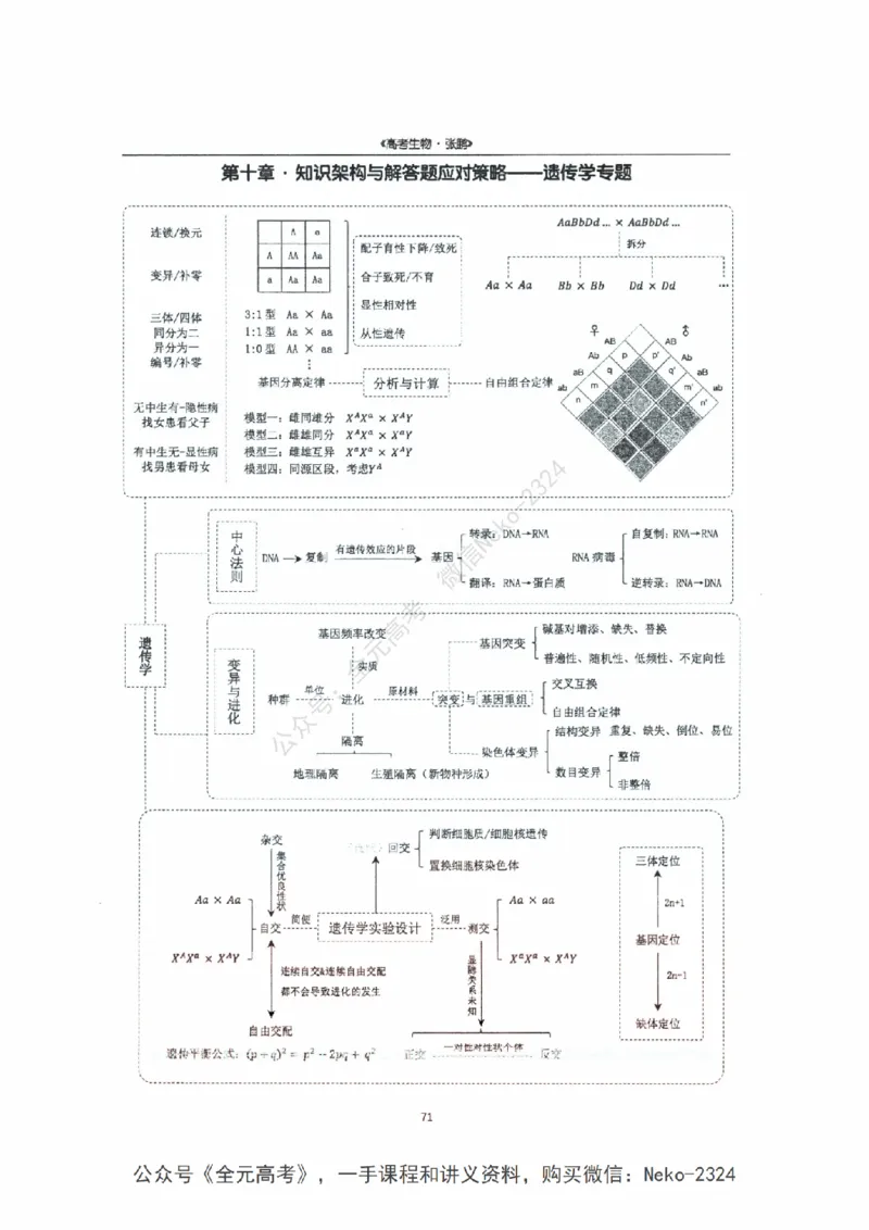 2024张鹏二轮复习讲义_2024-2025高三（6-6月题库）_2024年09月试卷_张鹏