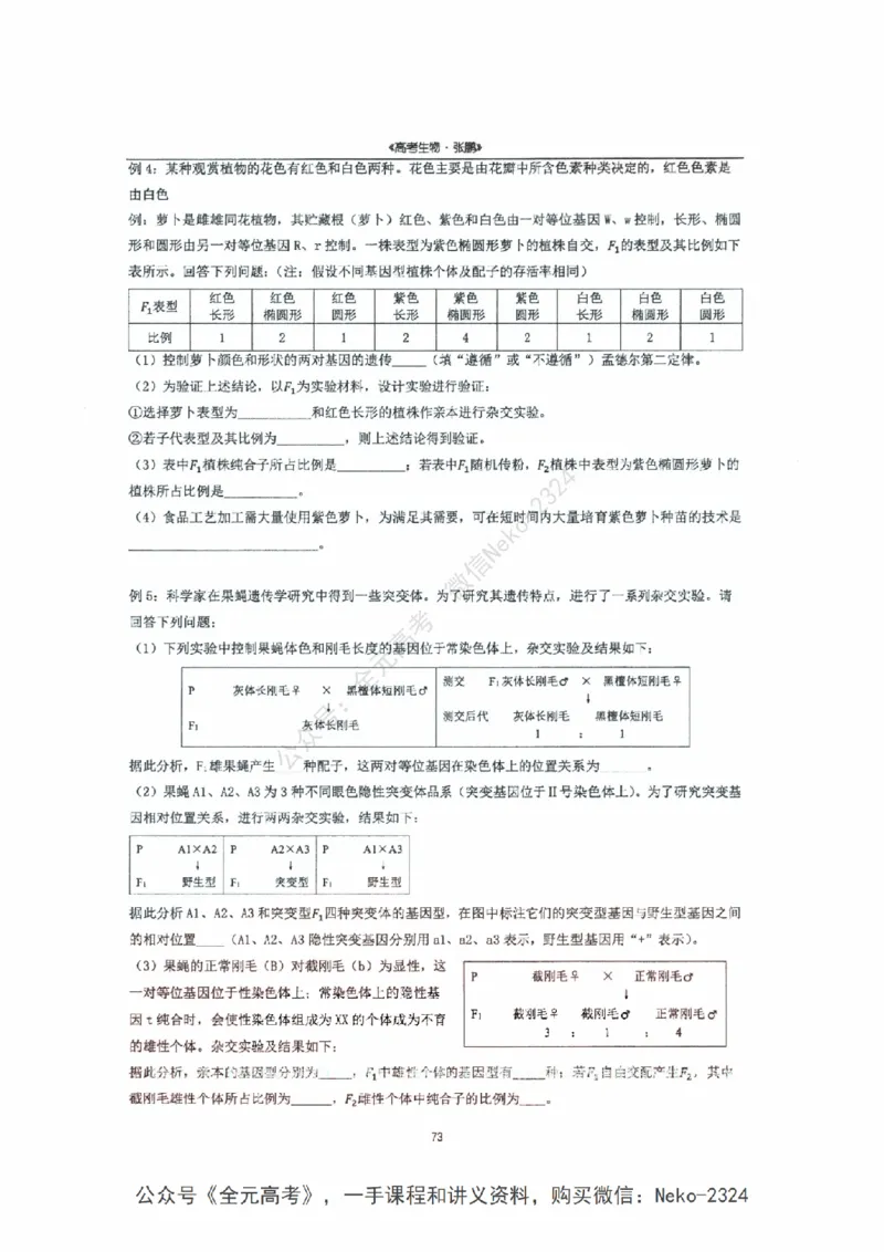 2024张鹏二轮复习讲义_2024-2025高三（6-6月题库）_2024年09月试卷_张鹏