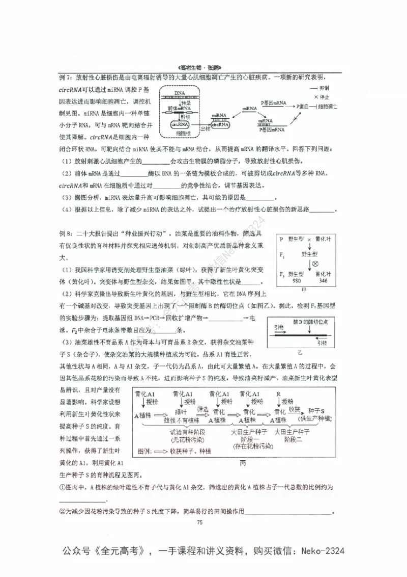 2024张鹏二轮复习讲义_2024-2025高三（6-6月题库）_2024年09月试卷_张鹏